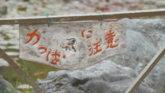 千駄木須藤公園の
