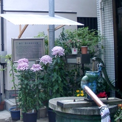 昔のデジカメで撮った本郷町菊坂の樋口一葉の旧居跡