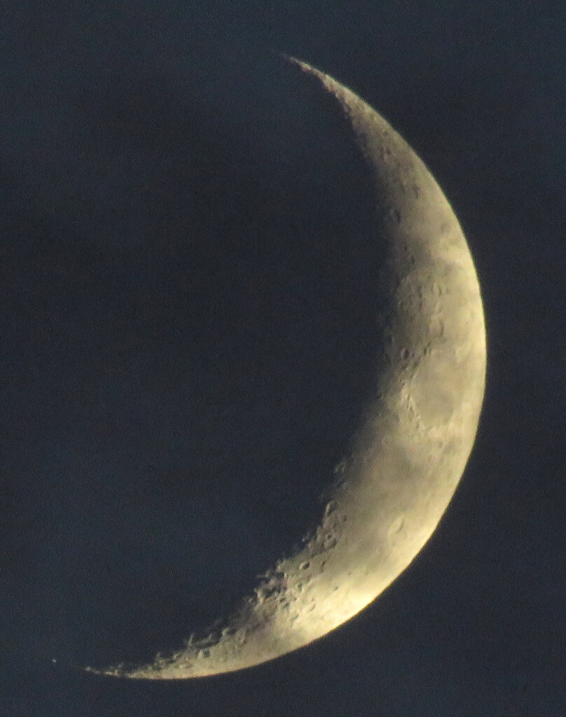 雲被る月齢3.7の月