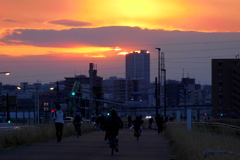 荒川土手の夕暮れ