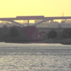 夕日をバックの南風に向かう舎人ライナー