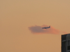 茜雲の飛行機