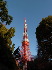元日の東京タワー