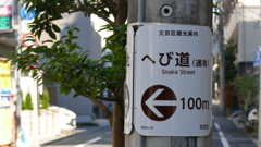 やねせんのあいそめかわのあと