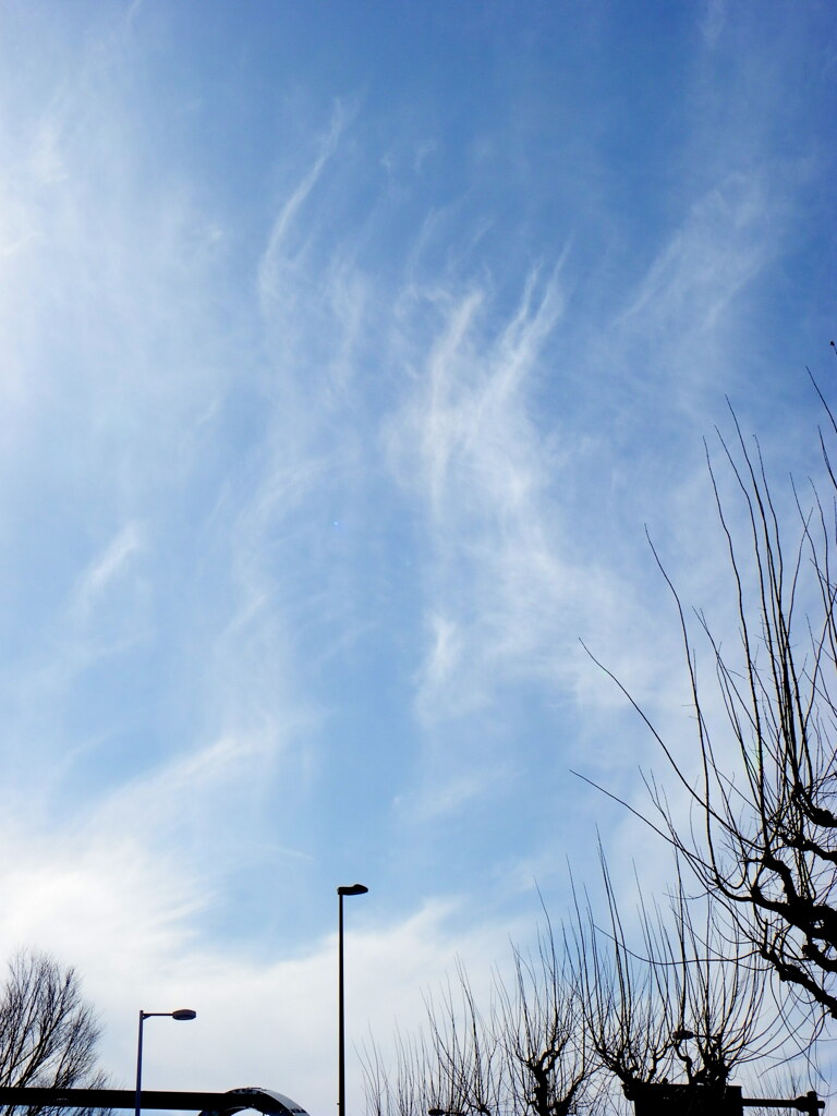 尾竹橋上の湧き上がる白雲