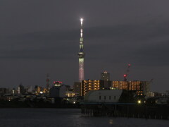 隅田川尾竹橋からの夜景
