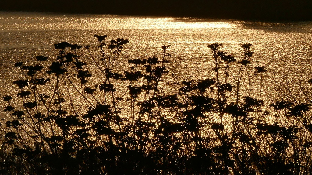 夕方の荒川