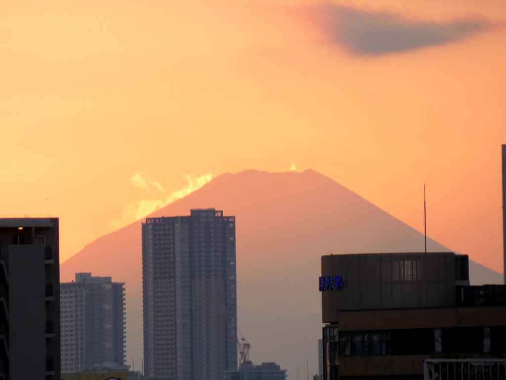 ’22新年の荒川土手から丹沢山系の夕日光を浴びる富士山