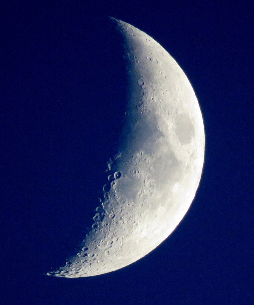 月齢5.6天頂
