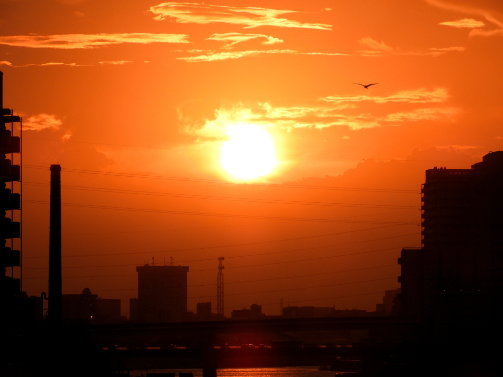 隅田川の黄金の夕日