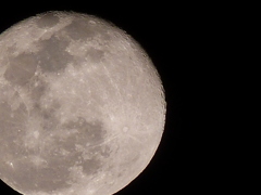 '20.02.10.20:47.の月