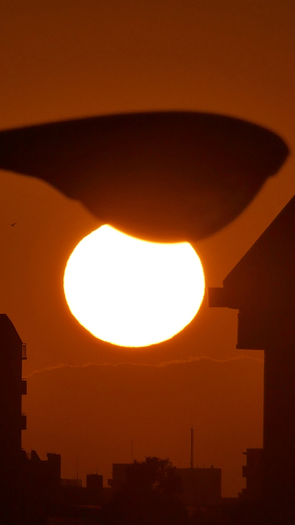 荒川土手から街路灯下の夕日