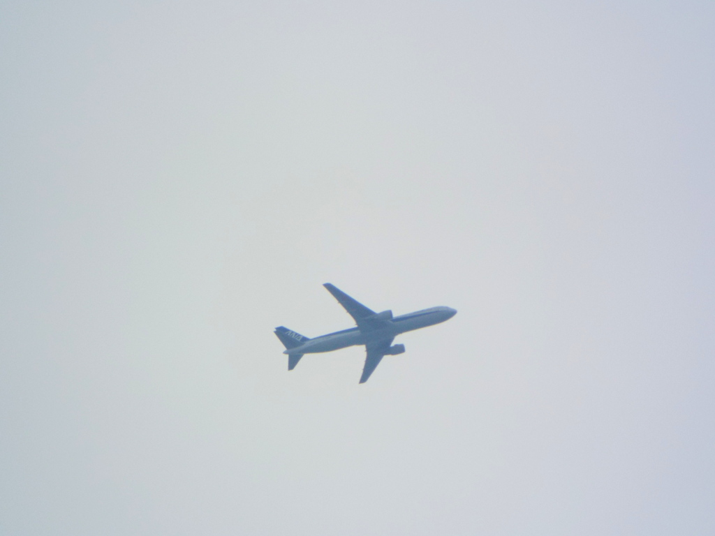 千住桜木ワンド上空のうす靄の中のANA機