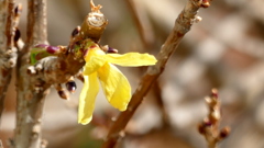 隅田川テラスにて