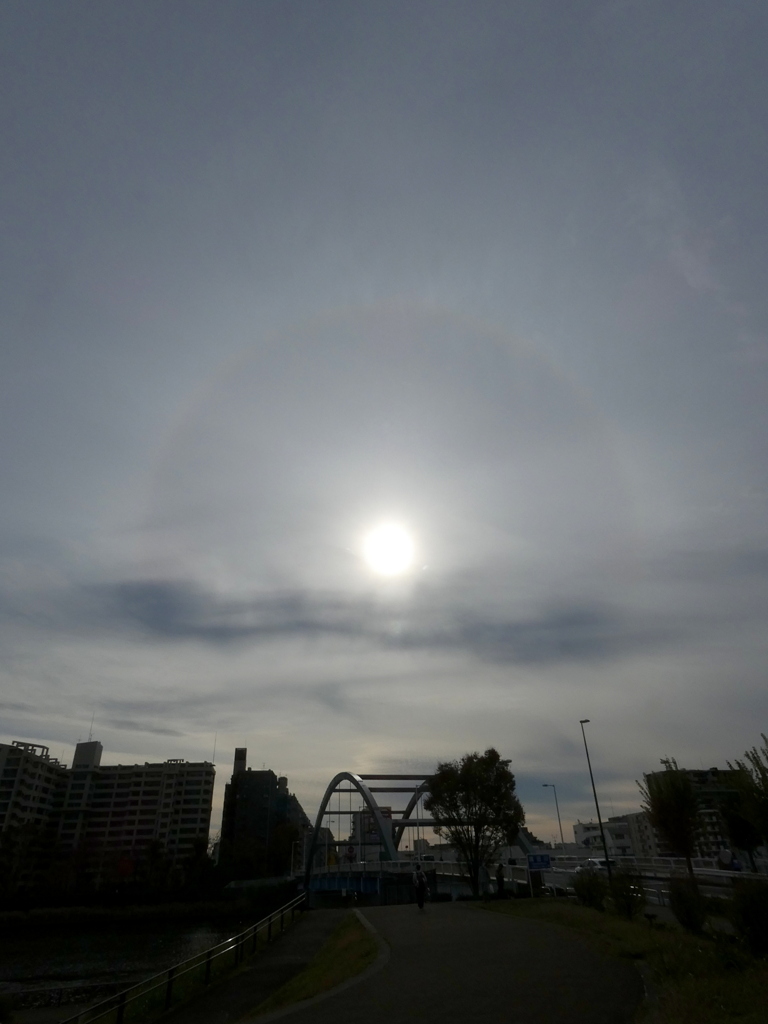 隅田川の尾竹橋上のアーク