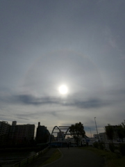 隅田川の尾竹橋上のアーク