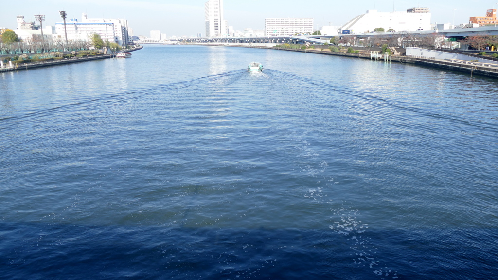 車では渡れない隅田川桜橋から上流