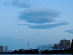隅田川のワンドから逆さまのハット状の雲