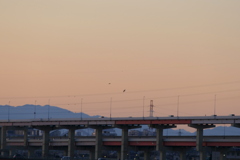 荒川高速の下の太平山～蕨山～右大持小持山