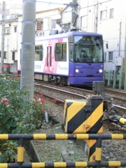 荒川区荒川の踏切の荒川線