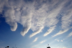 荒川土手から西の上空の縦に並んだ縞々雲
