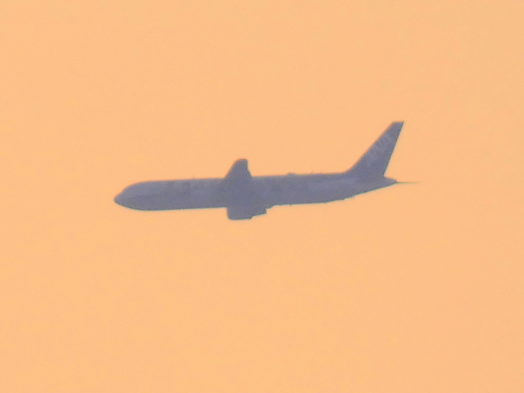 隅田川の上流低く飛ぶANA機