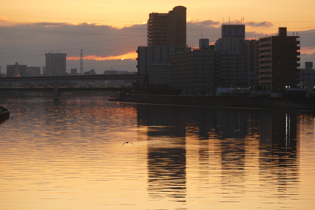 黄金色の隅田川の夕景