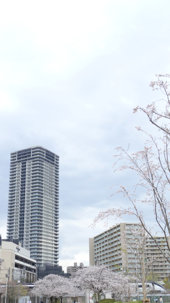 千住大橋近くの公園から