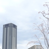 千住大橋近くの公園から