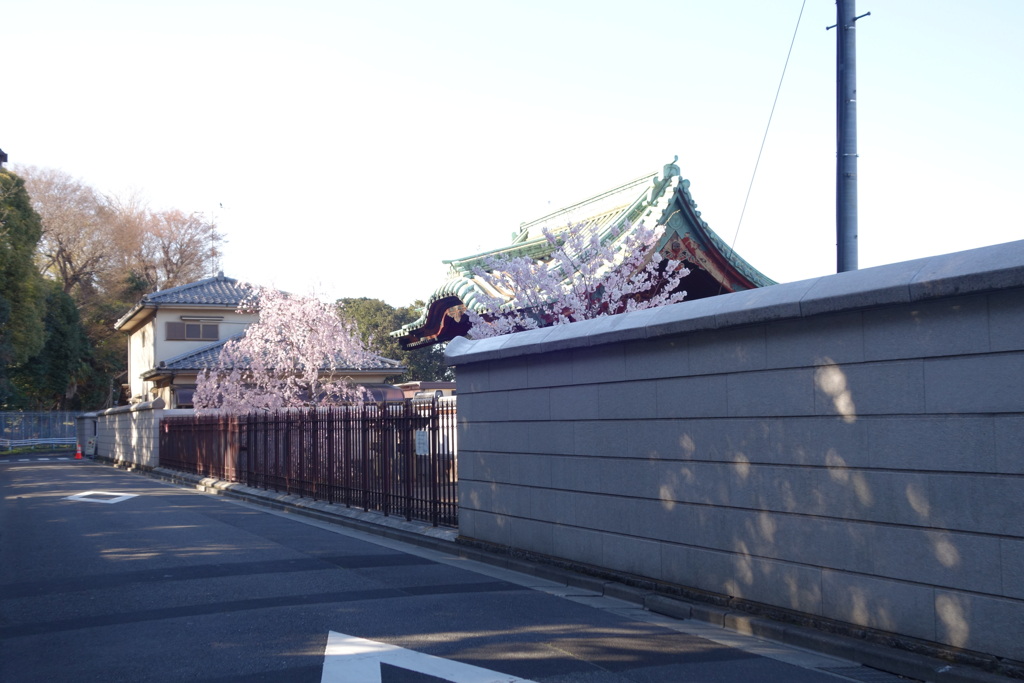 夕日の鶯谷の国立博物館の裏の寛永寺墓地