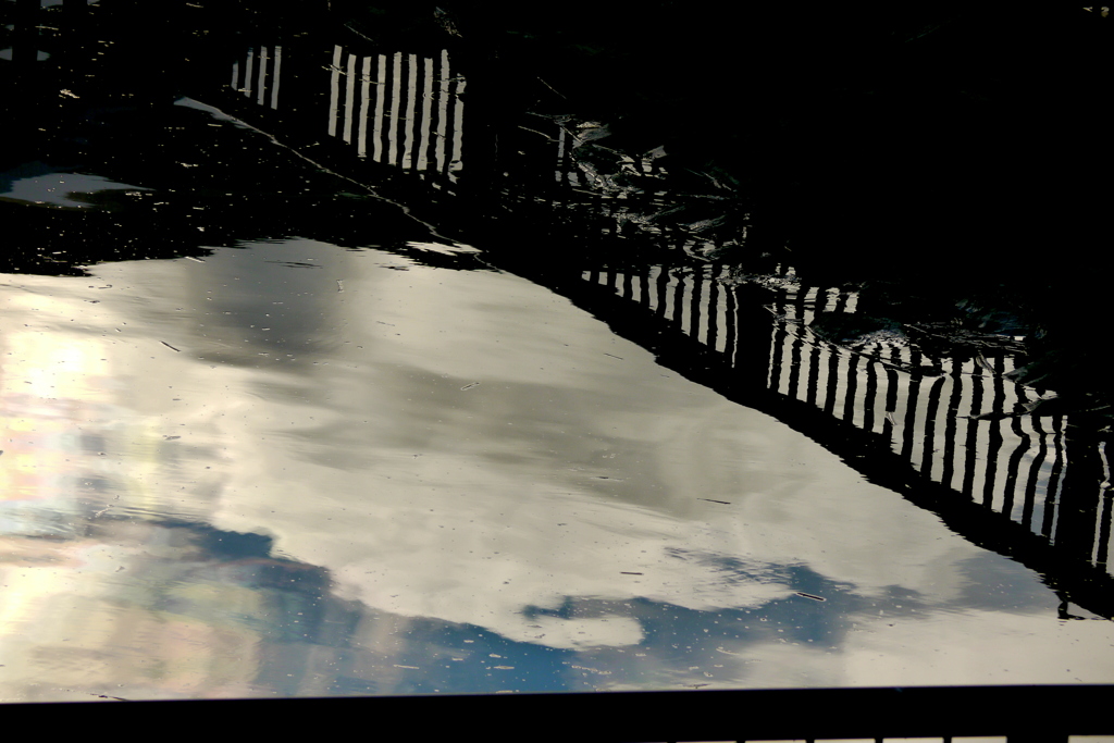 ワンドの池に映った微彩雲
