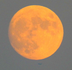 小さい飛行機の上の夕日をあびた真っ赤な月齢13.1