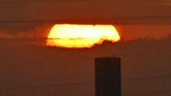 遠くのマンションの上の夕日