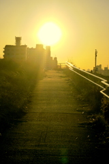 坂の上の黄色い夕日