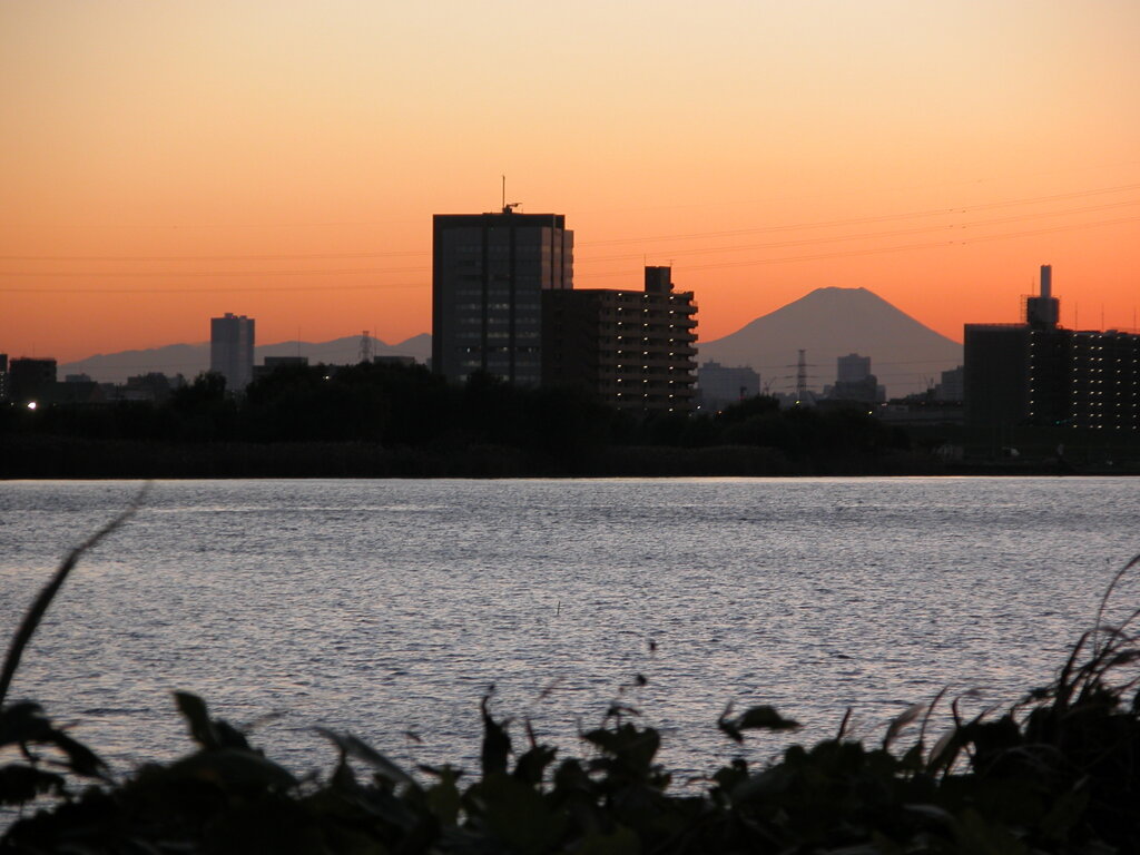 川向うの丹沢山系と富士山