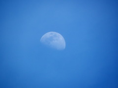 桜木ワンドの雲被る齢8.8の月