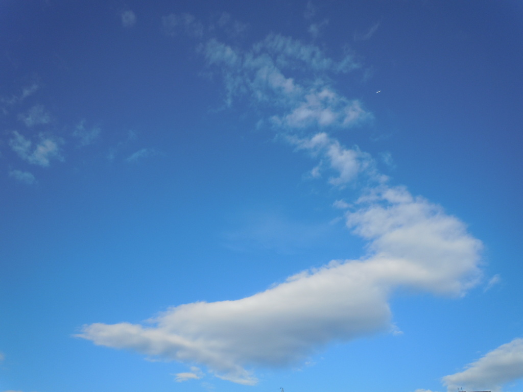 千住桜木ワンドの綺麗な雲と青空