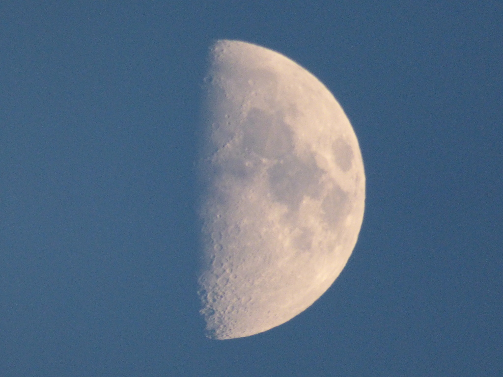 少し赤い月齢7,8 上弦の月