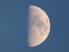 少し赤い月齢7,8 上弦の月
