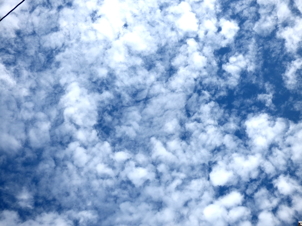 電線の間から高積雲