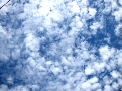 電線の間から高積雲