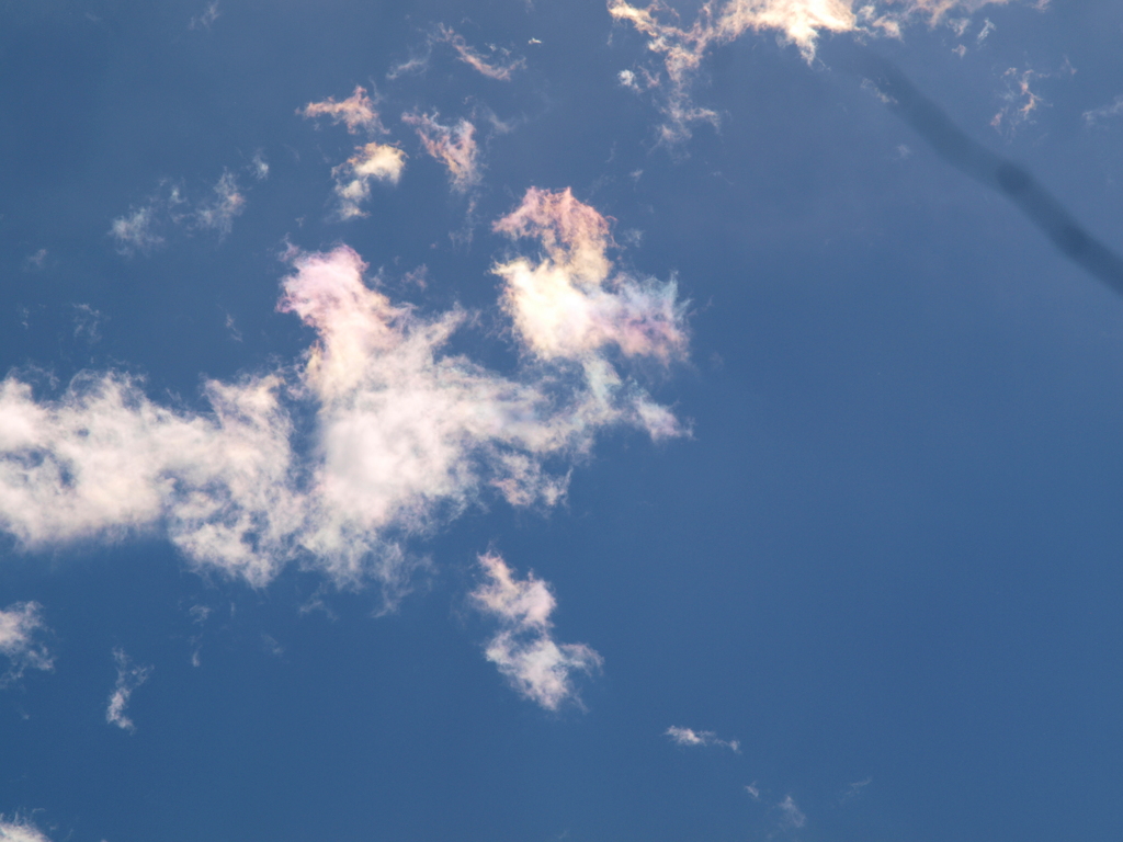 隅田川上空の微彩雲