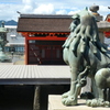 厳島神社の拝殿の狛犬