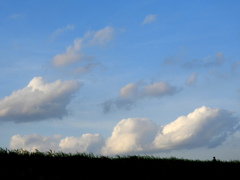 梅雨の晴れ間の荒川土手上の連なる積雲