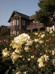 旧古河庭園の紅葉と秋薔薇を見に行った