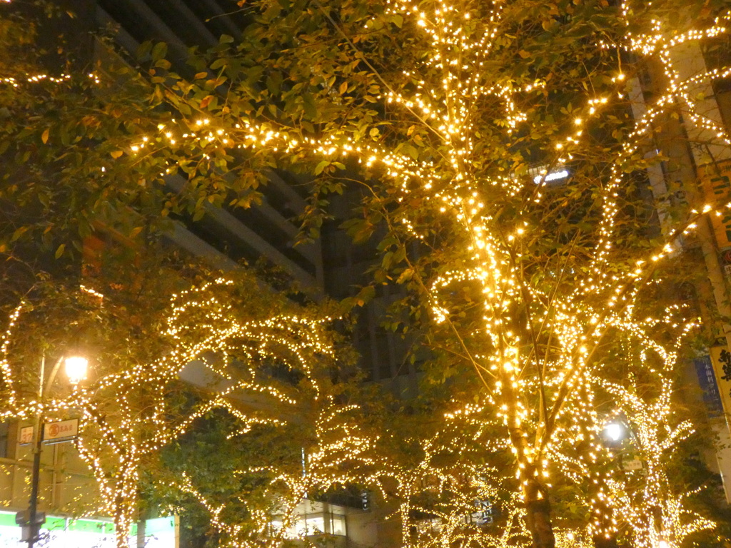 東京駅八重洲口向かいのサクラ道りのイルミネーション桜がかわいそうかも
