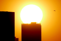 タワービルの上の夕日