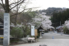 秩父の宝登山神社と