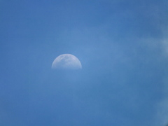 薄雲の上弦の月