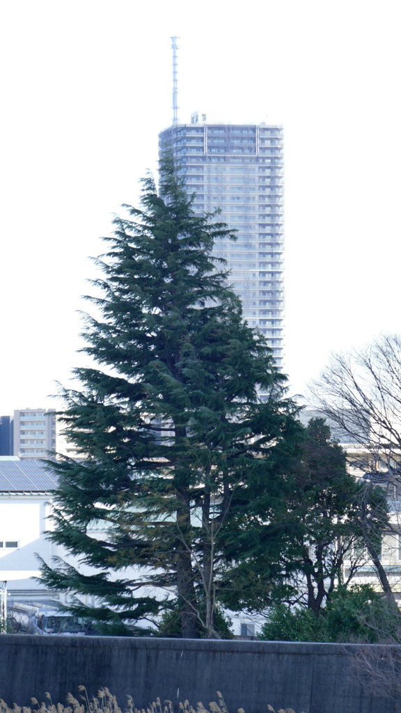 重なっている